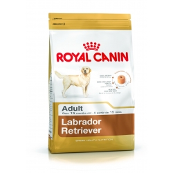 ROYAL CANIN LABRADOR RETRIEVER ADULT 12kg + GRATIS